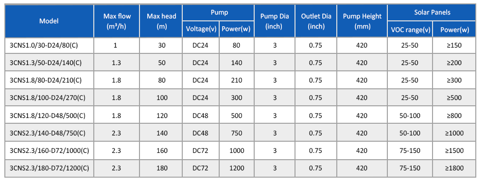 cns-CNS (C) 切片 _06