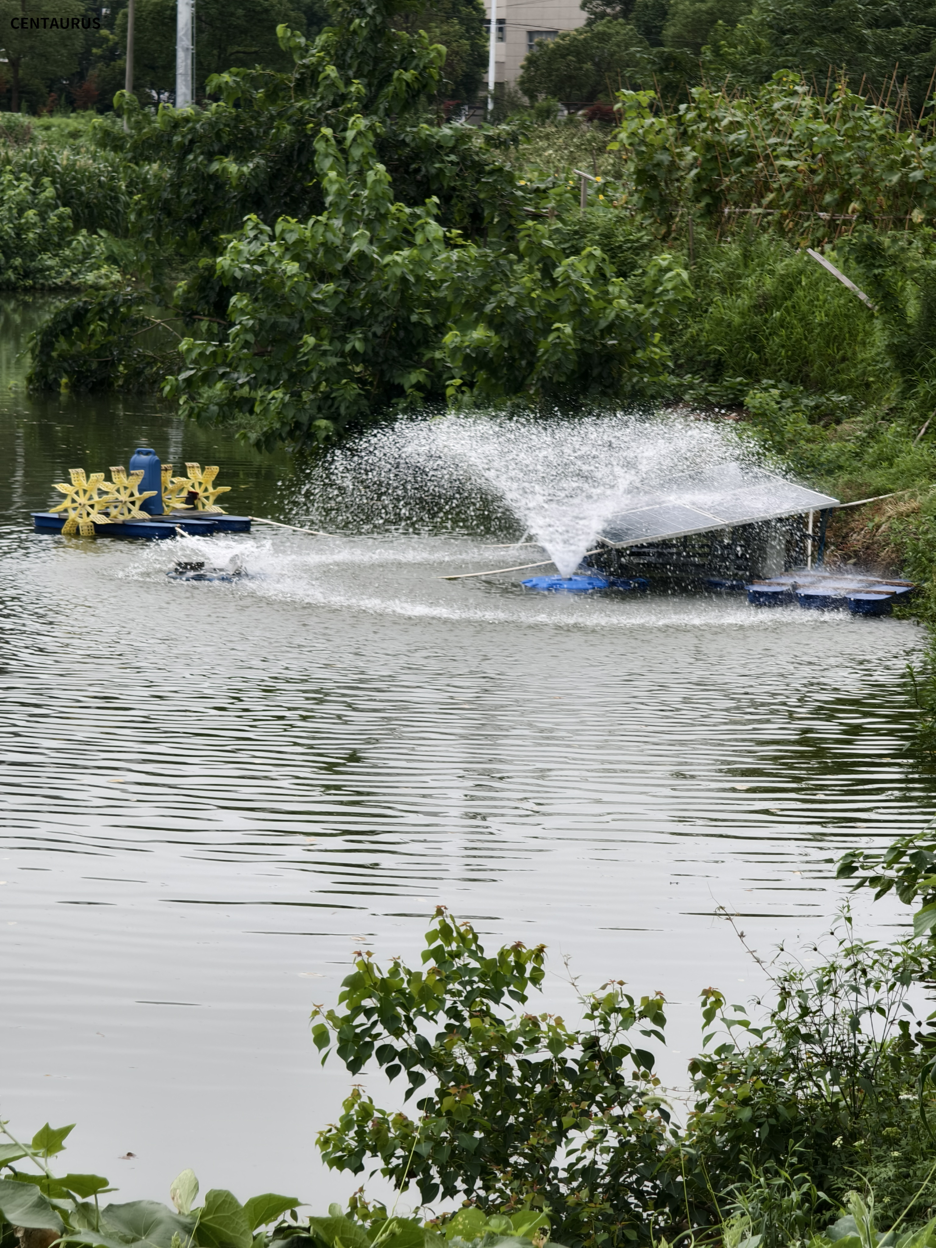 مضخة النافورة