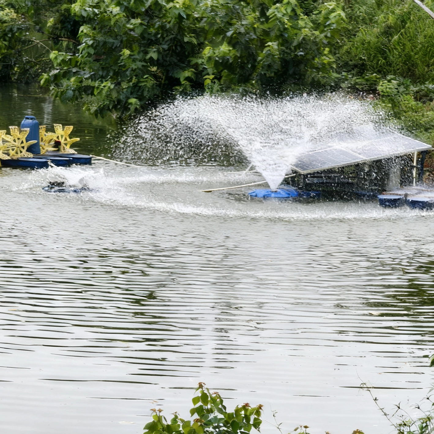 المحاصيل_1760518501261